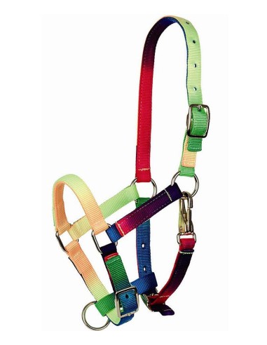 Tattini capezza in nylon multicolore da puledro