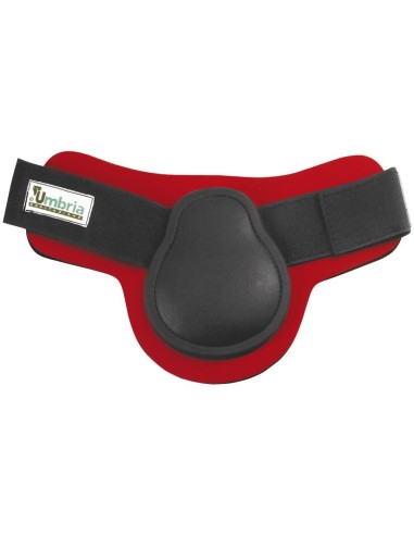 Umbria Equitazione   Paranocche Neoprene Rinforzo plastica e Velcro