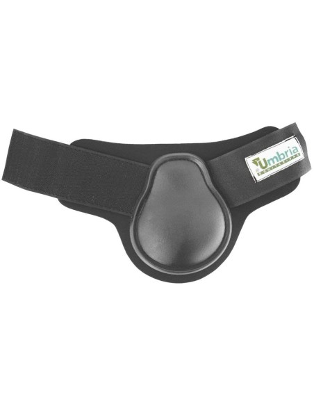 Umbria Equitazione   Paranocche Neoprene Rinforzo plastica e Velcro