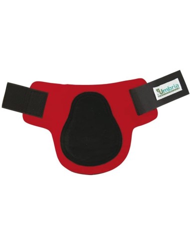 Umbria Equitazione Paranocche Neoprene con rinforzo Pelle chiusura vel