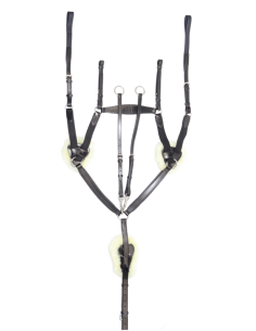 Pettorali Martingala Cavezze Paratendini Paracoda Redini Cuffie