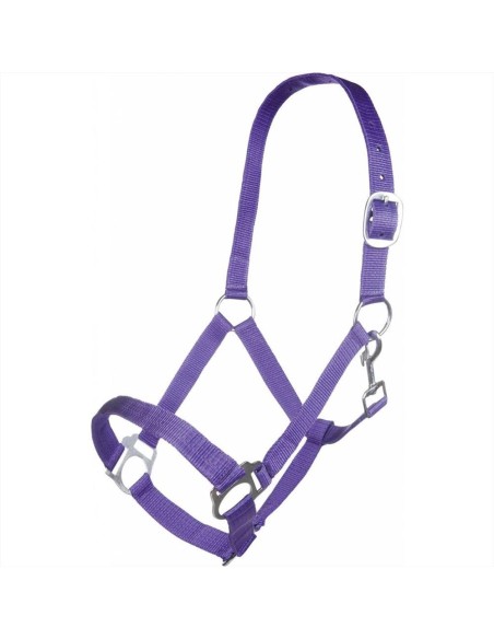 HKM Trust Set capezza annodata da equitazione per cavalli con lunghina