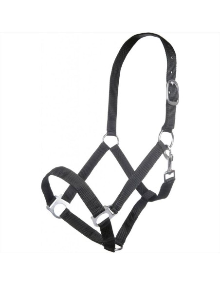 HKM Trust Set capezza annodata da equitazione per cavalli con lunghina