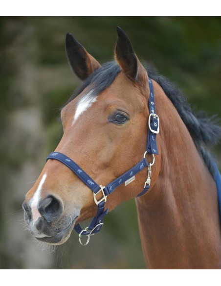 Pettorali Martingala Cavezze Paratendini Paracoda Redini Cuffie