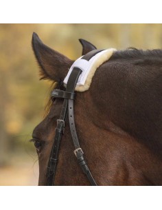 Pettorali Martingala Cavezze Paratendini Paracoda Redini Cuffie