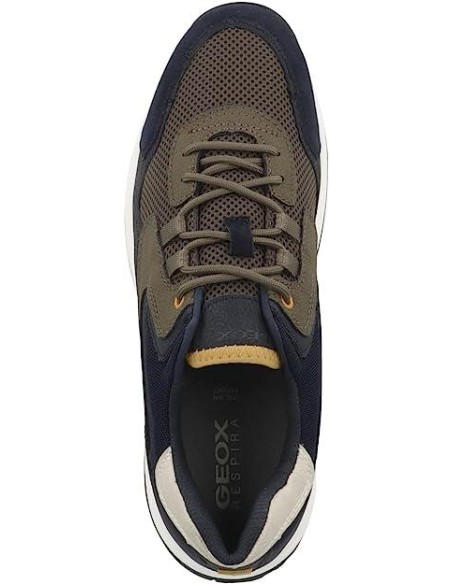 Geox Terrestre scarpa da uomo allacciata