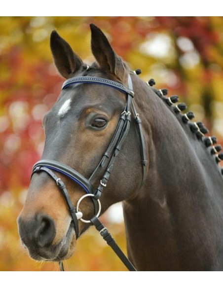 Waldhausen briglia STAR senza imboccatura