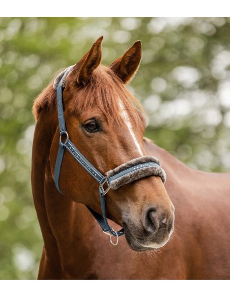 Waldhausen Capezza annodata Pearls