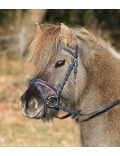 Waldhausen briglia STAR Diamond Capezza da monta combinata inglese