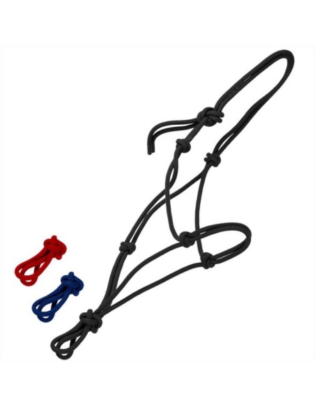 Pettorali Martingala Cavezze Paratendini Paracoda Redini Cuffie