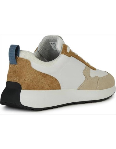 Geox scarpa allacciata da uomo