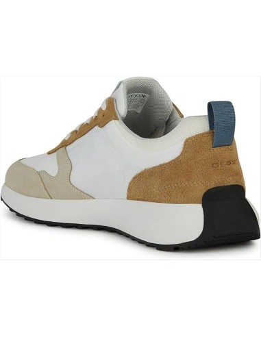 Geox scarpa allacciata da uomo