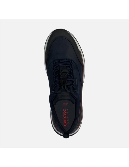 Geox scarpa sneakers da uomo