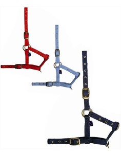 Tattini capezza in nylon per puledro 2