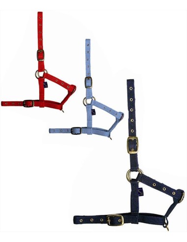 Tattini capezza in nylon per puledro