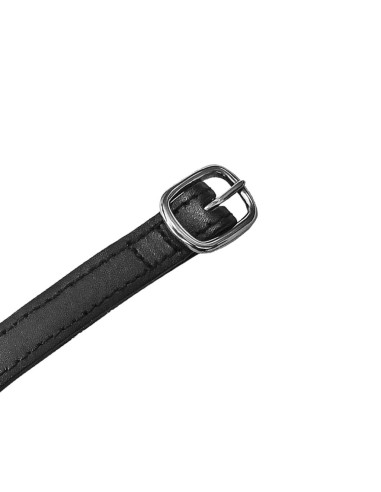 Amahorse lacciolini speroni in cuoio