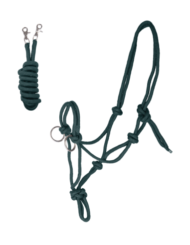 Pettorali Martingala Cavezze Paratendini Paracoda Redini Cuffie