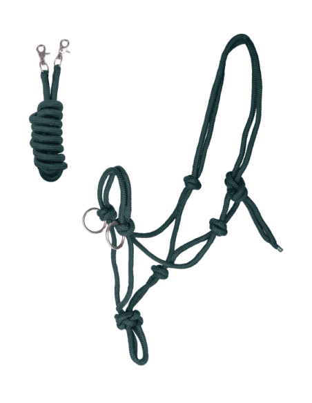 Pettorali Martingala Cavezze Paratendini Paracoda Redini Cuffie