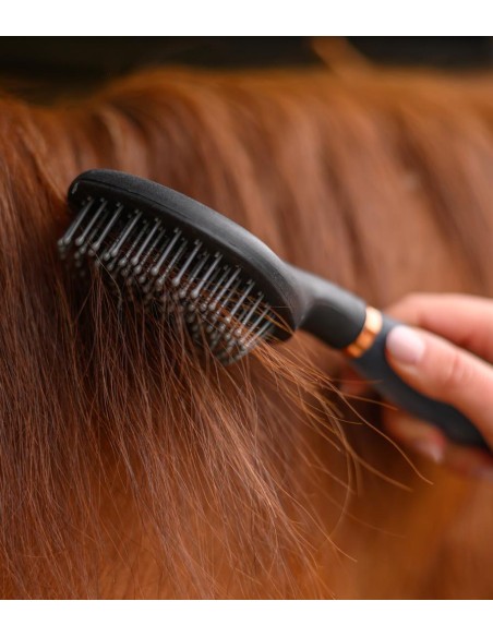 Pettorali Martingala Cavezze Paratendini Paracoda Redini Cuffie