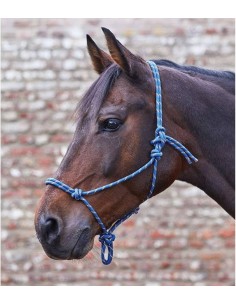 Waldhausen Capezza annodata