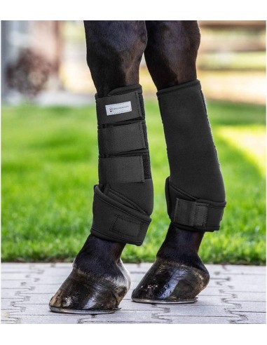 Waldhausen paratendini Protect