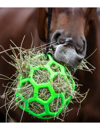 Waldhausen palla per fieno
