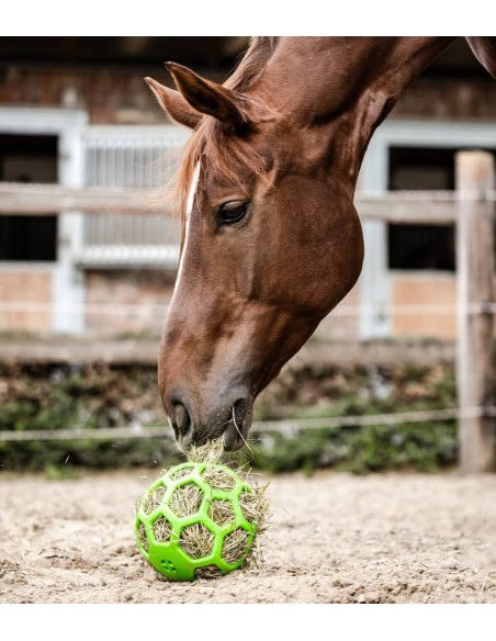 Waldhausen palla per fieno