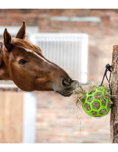 Waldhausen palla per fieno
