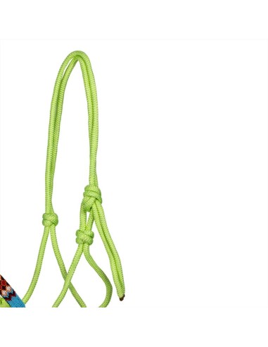 Pettorali Martingala Cavezze Paratendini Paracoda Redini Cuffie