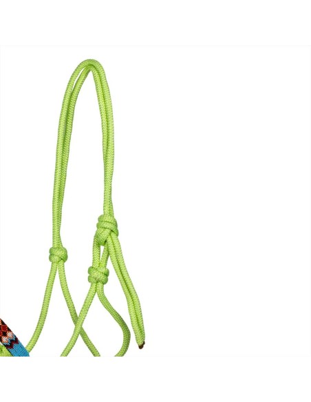 Pettorali Martingala Cavezze Paratendini Paracoda Redini Cuffie