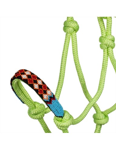 Pettorali Martingala Cavezze Paratendini Paracoda Redini Cuffie