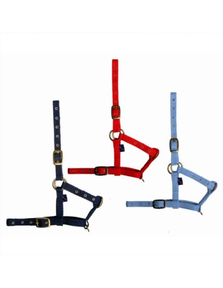 Tattini capezza in nylon per puledro