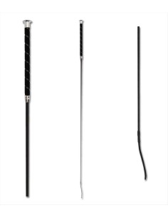 Waldhausen frusta da maneggio