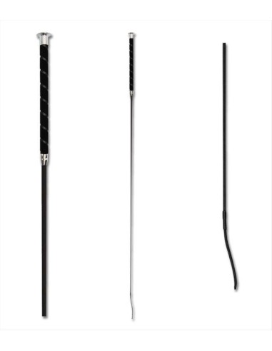 Waldhausen frusta da maneggio