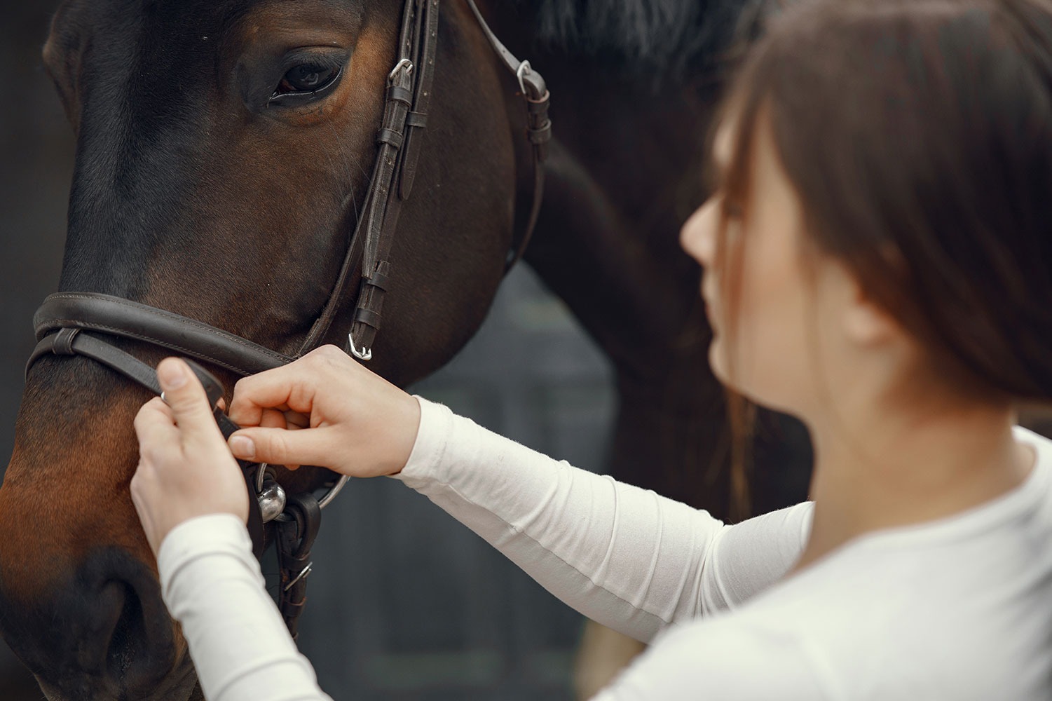 Manutenzione dei Prodotti di Selleria: Consigli e Trucchi per Far Durare i Tuoi Accessori